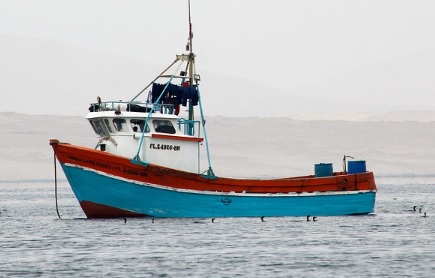 El Puerto de Marín retiró más de 18.000 kilos de basura marina en lo que va de año