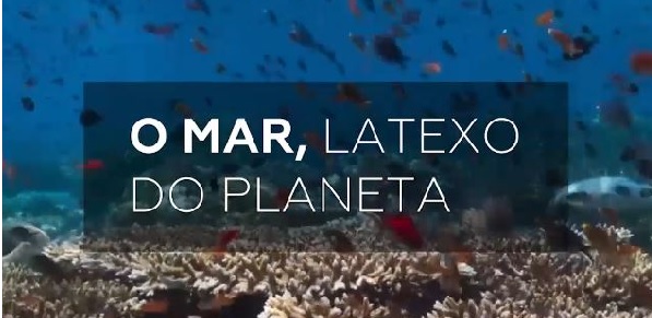"El mar, latido del planeta", un compromiso con la protección de los océanos