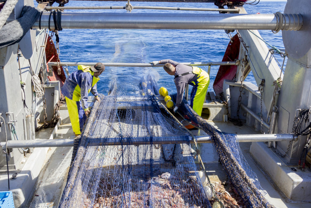 El sector pesquero se esfuerza en la retirada de residuos marinos