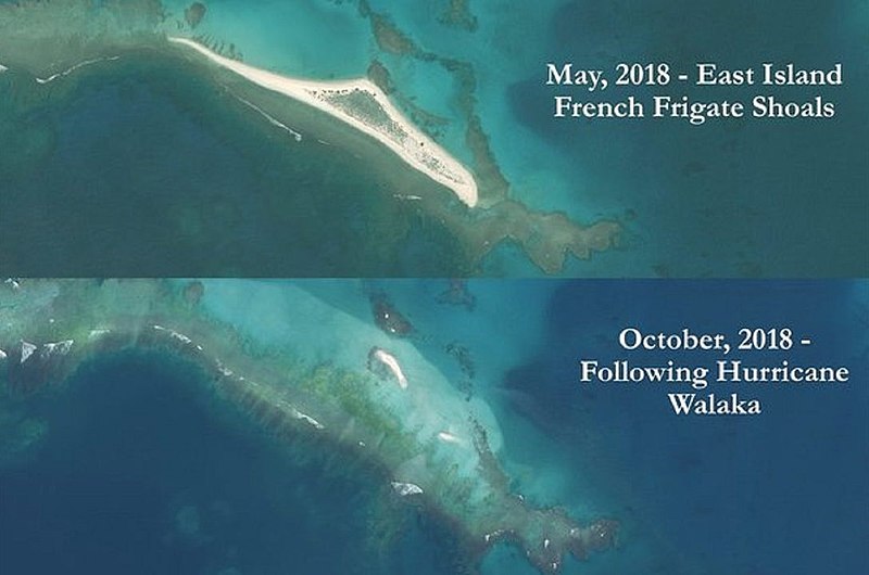 El cambio climático se lleva por delante una isla que formaba parte del French Frigate Shoals