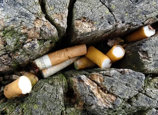 Más de 4,5 billones de cigarrillos acaban abandonados en la naturaleza cada año