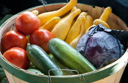 La FAO y el CIRAD suman fuerzas para promover la producción sostenible de frutas y verduras