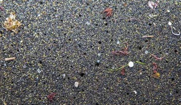 Los expertos buscan soluciones para los microplásticos que acaban en las aguas residuales