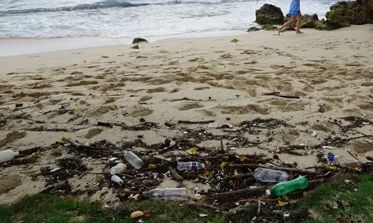 UNEP urge fortalecer políticas para luchar contra la contaminación plástica en el Sudeste Asiático
