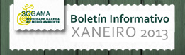 Newsletter xaneiro 2013 