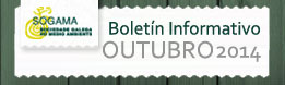  Newsletter outubro 2013