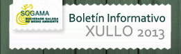  Newsletter xullo 2013
