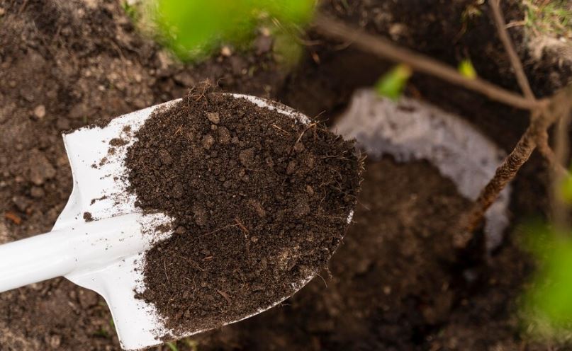 Pala con compost_Freepik