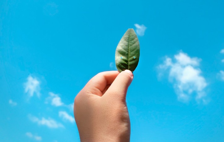 Freepik_Hoja en cielo azul