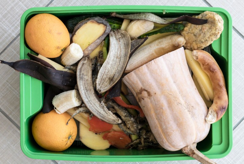 Desperdicio de alimentos_Magnific