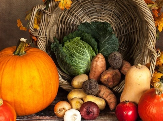 La FAO promueve una plataforma sobre medidas para reducir la pérdida y el desperdicio de alimentos La FAO promueve una plataforma sobre medidas para reducir la pérdida y el desperdicio de alimentos