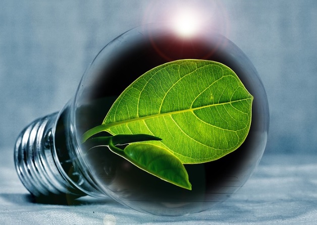 II Premio USC de Investigación en Innovación y Economía Circular: plazo hasta el 16 de diciembre II Premio USC de Investigación en Innovación y Economía Circular: plazo hasta el 16 de diciembre