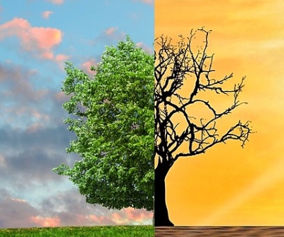 La contaminación del aire y por residuos plásticos, entre lo más leído en ONU Medio Ambiente La contaminación del aire y por residuos plásticos, entre lo más leído en ONU Medio Ambiente