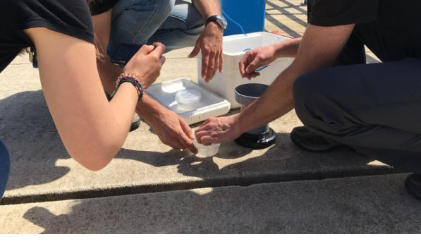 El proyecto Libera aborda un estudio piloto para la caracterización de microplásticos en ríos