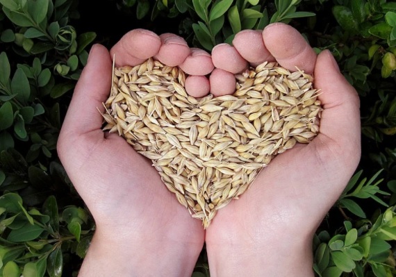 La FAO promueve una Coalición alimentaria para lograr sistemas agroalimentarios más sostenibles La FAO promueve una Coalición alimentaria para lograr sistemas agroalimentarios más sostenibles