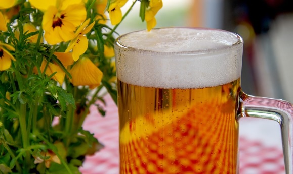 Se valida el uso de subproductos de la industria cervecera como alimento para peces Se valida el uso de subproductos de la industria cervecera como alimento para peces