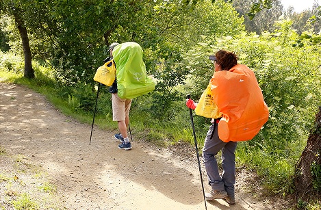 Los EcoPeregrinos reciclaron un 7,5% más de envases en los tramos gallegos del Camino durante 2019 Los EcoPeregrinos reciclaron un 7,5% más de envases en los tramos gallegos del Camino durante 2019