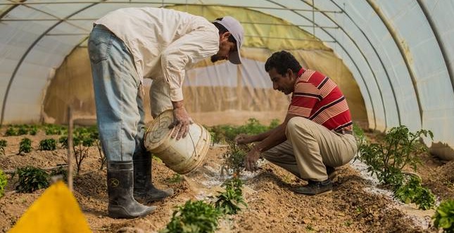 Los españoles, más concienciados con el desperdicio alimentario durante la Navidad