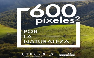 LIBERA organiza en RRSS el movimiento ‘600 píxeles2 por la naturaleza’ LIBERA organiza en RRSS el movimiento ‘600 píxeles2 por la naturaleza’