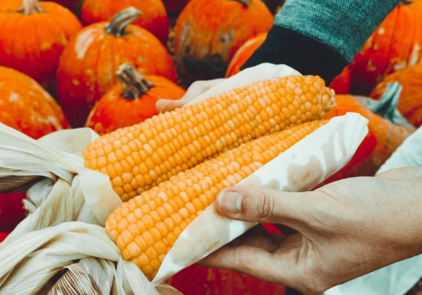 La Comisión Europea prepara nuevas iniciativas para impulsar la agricultura ecológica La Comisión Europea prepara nuevas iniciativas para impulsar la agricultura ecológica