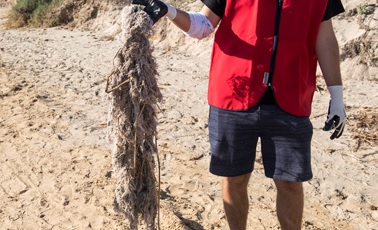LIBERA recuerda el impacto ambiental de abandonar residuos en la naturaleza o tirarlos por el inodoro LIBERA recuerda el impacto ambiental de abandonar residuos en la naturaleza o tirarlos por el inodoro