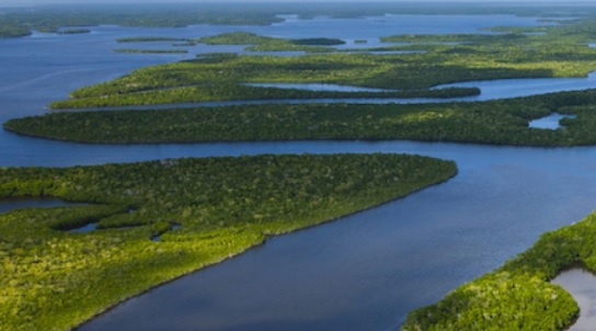 Una investigación revela los beneficios de abordar en conjunto las crisis del clima y de la biodiversidad Una investigación revela los beneficios de abordar en conjunto las crisis del clima y de la biodiversidad