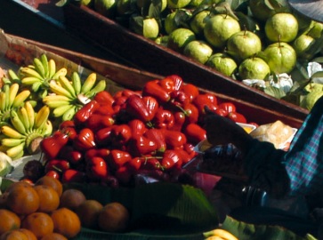 La acción climática en los sistemas alimentarios podría contribuir a la reducción del 20% de emisiones La acción climática en los sistemas alimentarios podría contribuir a la reducción del 20% de emisiones