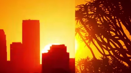 El mundo se unió #PorLaNaturaleza en el Día Mundial del Medio Ambiente El mundo se unió #PorLaNaturaleza en el Día Mundial del Medio Ambiente