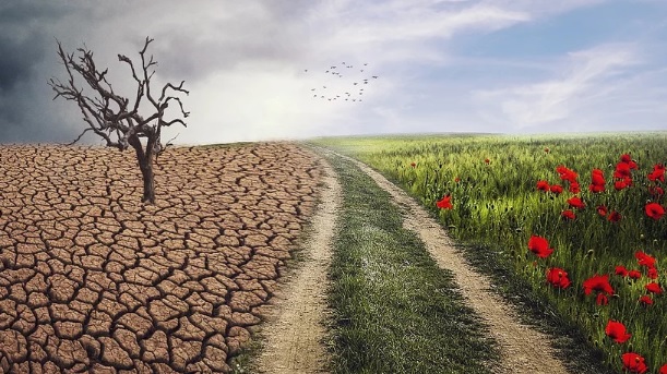 El 70% de los españoles considera que la transición ecológica mejorará su calidad de vida