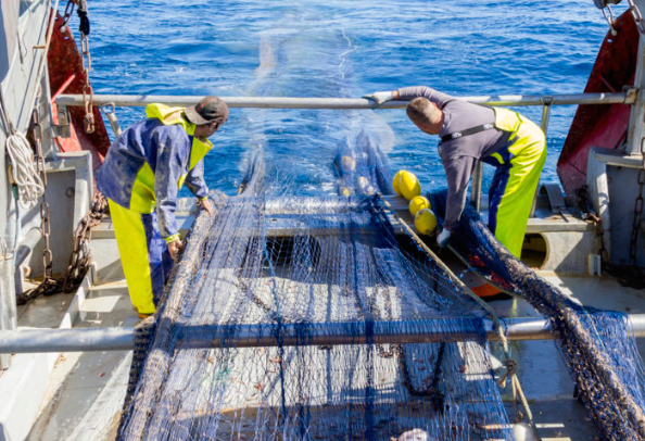 RepescaPlas aborda el reciclado químico de la basura marina para la obtención de combustible RepescaPlas aborda el reciclado químico de la basura marina para la obtención de combustible