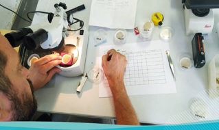 LIBERA presenta el primer protocolo de muestreo e identificación de microplásticos en ríos LIBERA presenta el primer protocolo de muestreo e identificación de microplásticos en ríos