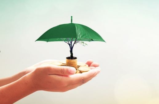 El BCE incorporará el cambio climático a sus compras de bonos corporativos