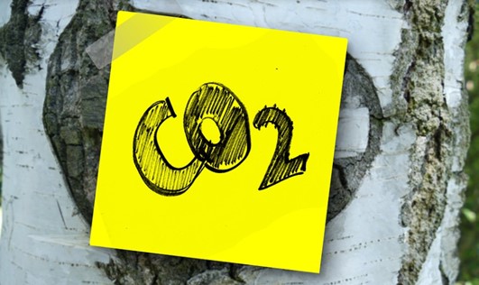 El reciclado de envases permitió a la industria cárnica ahorrar cerca de 49.000 toneladas de CO2 en 2021 El reciclado de envases permitió a la industria cárnica ahorrar cerca de 49.000 toneladas de CO2 en 2021