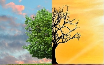 El 55% de los españoles afirma que la política ambiental y social de las marcas condiciona su compra