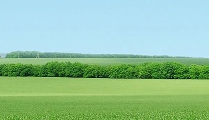“34 Casos de Economía Verde”, publicación del GECV que muestra éxitos de empresas en sostenibilidad “34 Casos de Economía Verde”, publicación del GECV que muestra éxitos de empresas en sostenibilidad