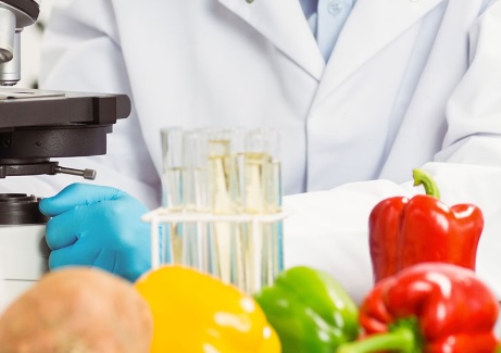 Proyecto ORHI: apuesta por la innovación para fomentar la circularidad en el sector agroalimentario Proyecto ORHI: apuesta por la innovación para fomentar la circularidad en el sector agroalimentario