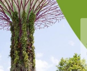 El evento virtual promovido por ISWA “Rethinking Waste”, tendrá lugar los días 22 y 23 de septiembre El evento virtual promovido por ISWA “Rethinking Waste”, tendrá lugar los días 22 y 23 de septiembre
