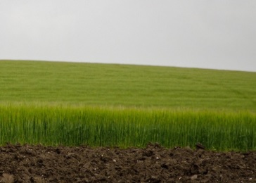 La valorización de la materia orgánica a través del compostaje, una de las prioridades en Sogama La valorización de la materia orgánica a través del compostaje, una de las prioridades en Sogama