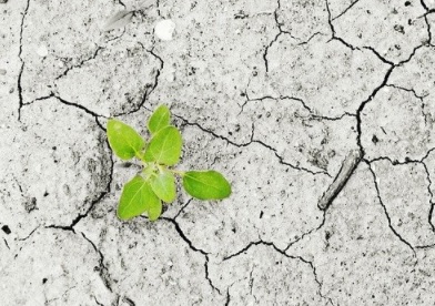 Abierto el plazo para presentación de candidaturas a los premios ONU a la Acción Climática Mundial Abierto el plazo para presentación de candidaturas a los premios ONU a la Acción Climática Mundial