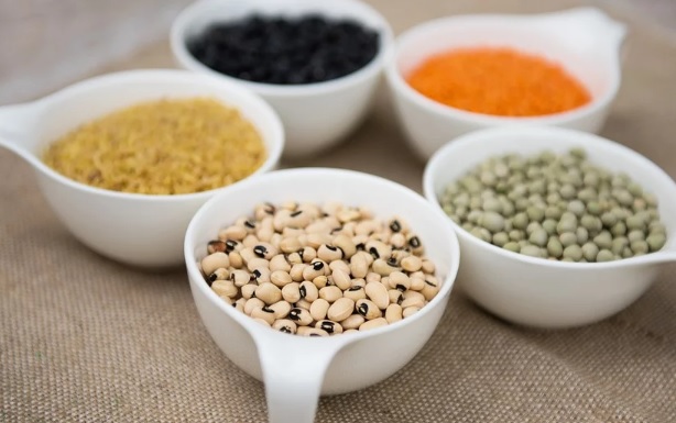 Las legumbres, un superalimento con alto valor nutritivo y grandes beneficios ambientales Las legumbres, un superalimento con alto valor nutritivo y grandes beneficios ambientales