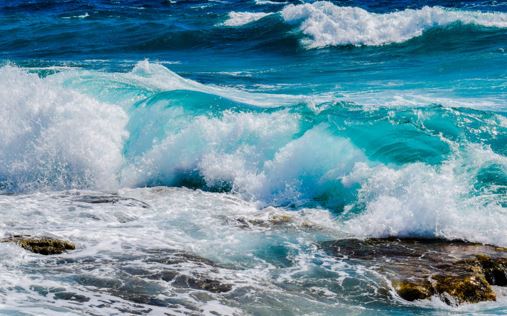 El 80% de la contaminación de los océanos procede del ámbito terrestre