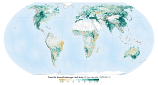 La Tierra aumenta su verdor según un estudio de monitorización ecológica de la NASA La Tierra aumenta su verdor según un estudio de monitorización ecológica de la NASA