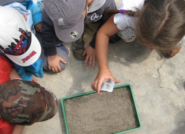 9 de cada 10 jóvenes consideran la educación ambiental un factor clave en la era post-Covid 9 de cada 10 jóvenes consideran la educación ambiental un factor clave en la era post-Covid