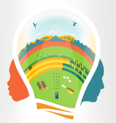 FAO premia la innovación en el sector de la alimentación y agricultura sostenibles