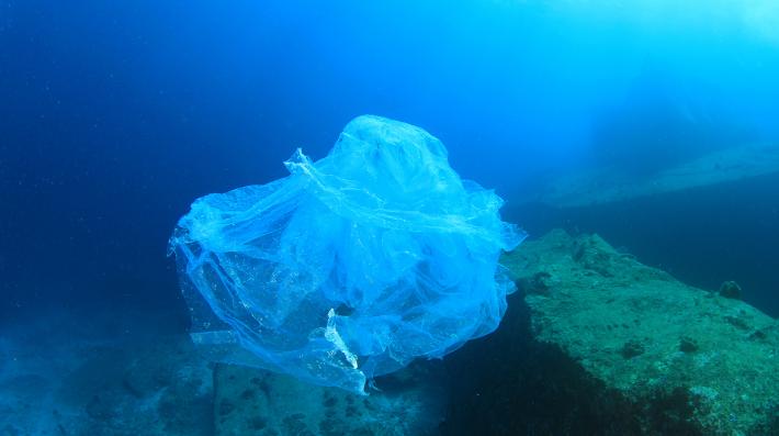 Los equipos de pesca fantasma, una grave amenaza para la vida marina Los equipos de pesca fantasma, una grave amenaza para la vida marina