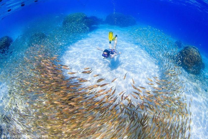 ONU Medio Ambiente lanza una guía práctica para la mejor gestión de las áreas marinas protegidas ONU Medio Ambiente lanza una guía práctica para la mejor gestión de las áreas marinas protegidas