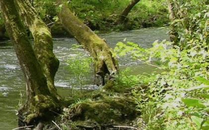 Sogama colabora con el Concello de Paderne en la formación ambiental de sus vecinos Sogama colabora con el Concello de Paderne en la formación ambiental de sus vecinos