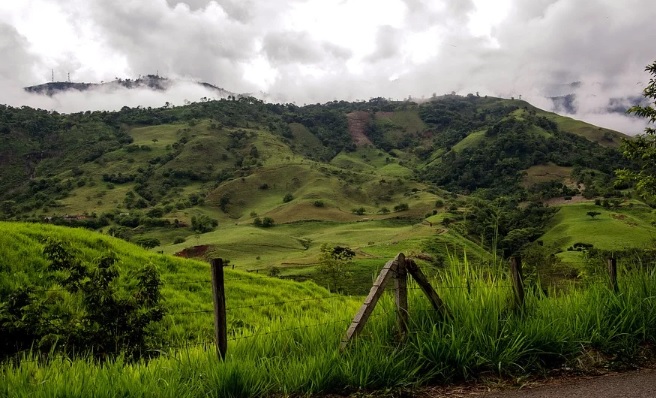 Colombia, anfitrión del Día Mundial del Medio Ambiente 2020 Colombia, anfitrión del Día Mundial del Medio Ambiente 2020
