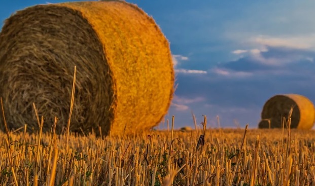 "Galicia cuenta con una red de 1.200 puntos para la recogida y gestión de los envases agrarios"