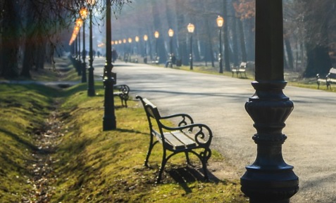 La mejor gestión de residuos contribuirá a urbes saludables que propicien la recuperación social La mejor gestión de residuos contribuirá a urbes saludables que propicien la recuperación social